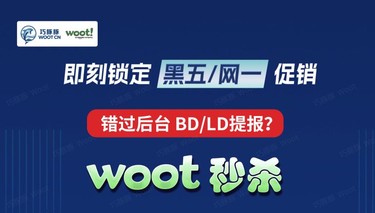 如何提报2024亚马逊黑五/网一BD/LD秒杀？